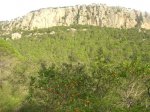 DSCN8724.jpg