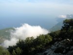 DSCN8734.jpg