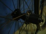 DSCF0575.jpg