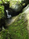 img_6879.jpg