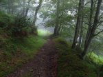 img_6817.jpg