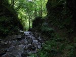 img_6861.jpg