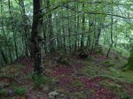 img_6831.jpg