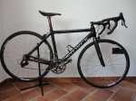 STORCK4332.jpg