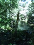 DSC00069.jpg