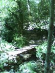 DSC00070.jpg