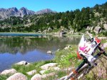 DSCN5574.jpg