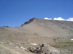 DSC01034.jpg