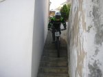 P1010246.jpg