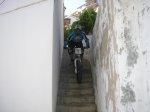 P1010238.jpg