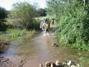 Un  paseo por ruidera 2010 044.jpg