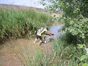Un  paseo por ruidera 2010 111.jpg