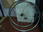 DSC01959.JPG