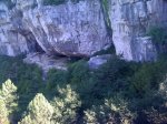 IMG_0342.jpg