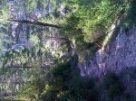 IMG_0335.jpg