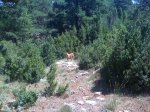 IMG_0323.jpg