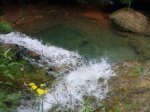 Rio vinalopo. 014.jpg