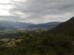 310720101067.jpg
