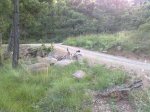 28072010994.jpg