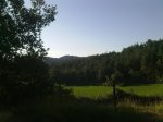 28072010999.jpg
