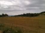 310720101074.jpg