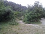 310720101069.jpg