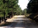 pista.jpg