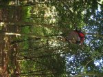 IMG_1845.redimensionado.JPG
