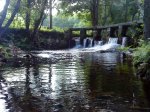 DSC02510.jpg