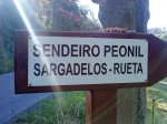 DSC02504.jpg