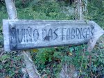DSC02513.jpg