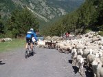 epic trail 2010 101.jpg