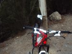 DSC01516.jpg