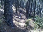 01082010311.jpg