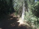 070820101105.jpg