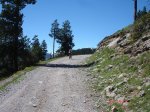 DSC06152.jpg