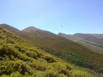 07082010281.jpg