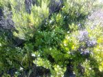 07082010286.jpg