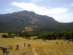 07082010287.jpg