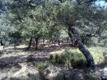 07082010271.jpg