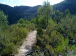 Foto016.jpg