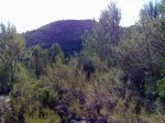 Foto017.jpg