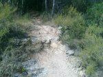 Foto015.jpg