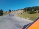 IMG080.jpg