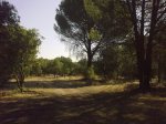 Foto217.1.jpg