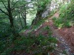 P1010264-WEB.jpg