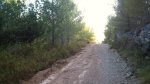 DSC00159.jpg