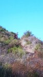 DSC00163.jpg