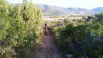 DSC00165.jpg
