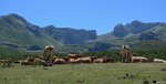 P1010189-WEB.jpg